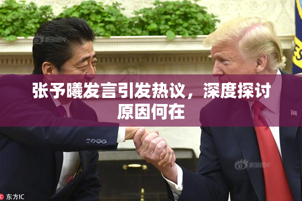 张予曦发言引发热议，深度探讨原因何在