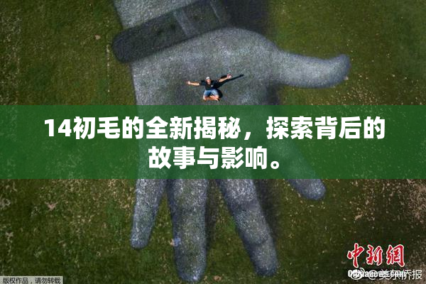 14初毛的全新揭秘，探索背后的故事与影响。