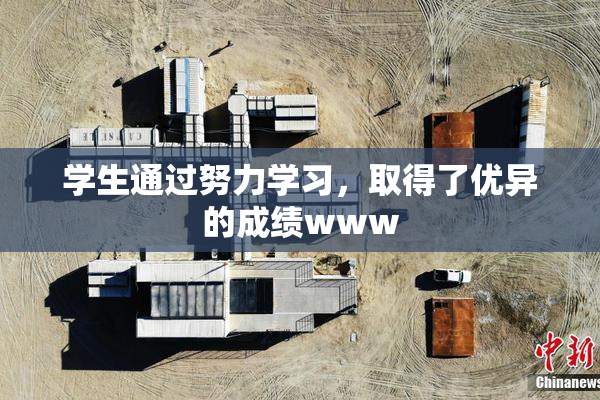 学生通过努力学习，取得了优异的成绩www