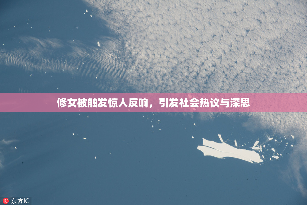 修女被触发惊人反响，引发社会热议与深思