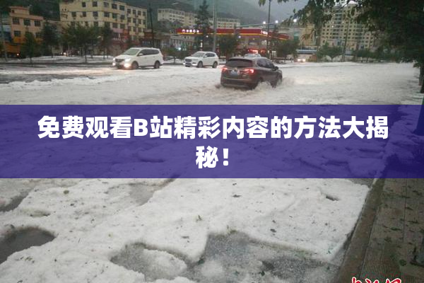 免费观看B站精彩内容的方法大揭秘！
