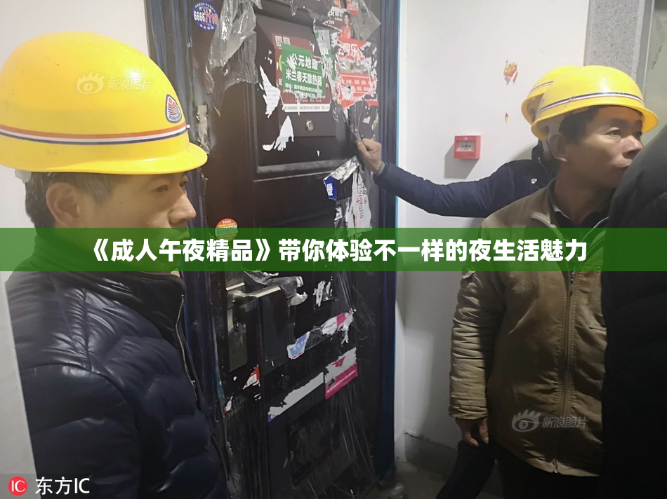 《成人午夜精品》带你体验不一样的夜生活魅力