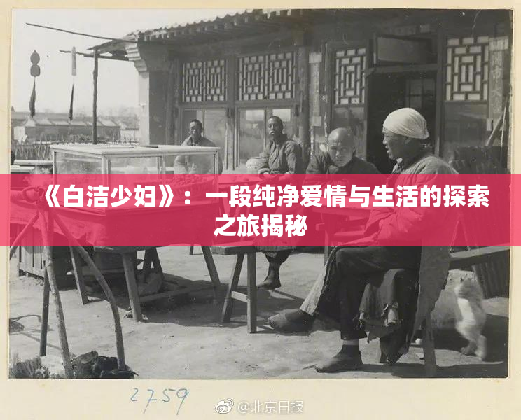《白洁少妇》：一段纯净爱情与生活的探索之旅揭秘