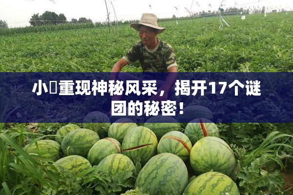 小泬重现神秘风采，揭开17个谜团的秘密！