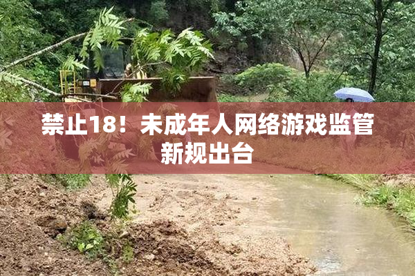 禁止18！未成年人网络游戏监管新规出台