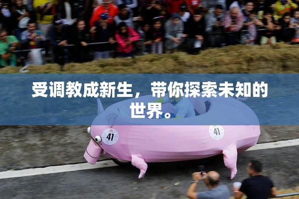 受调教成新生，带你探索未知的世界。