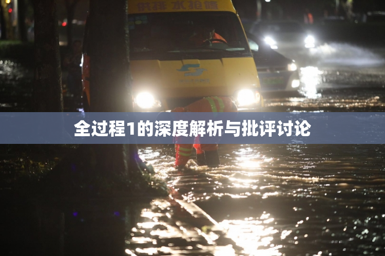 全过程1的深度解析与批评讨论