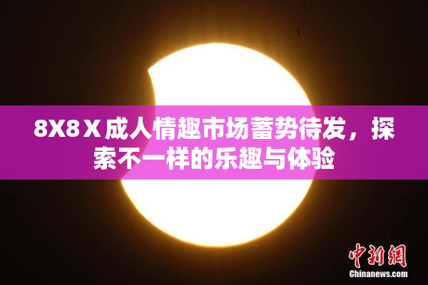 8X8Ⅹ成人情趣市场蓄势待发，探索不一样的乐趣与体验