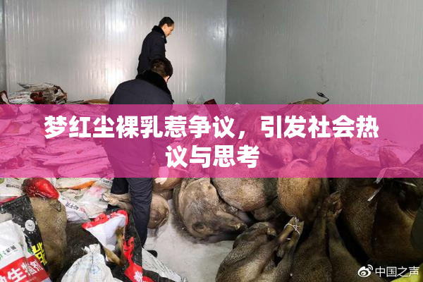 梦红尘裸乳惹争议，引发社会热议与思考