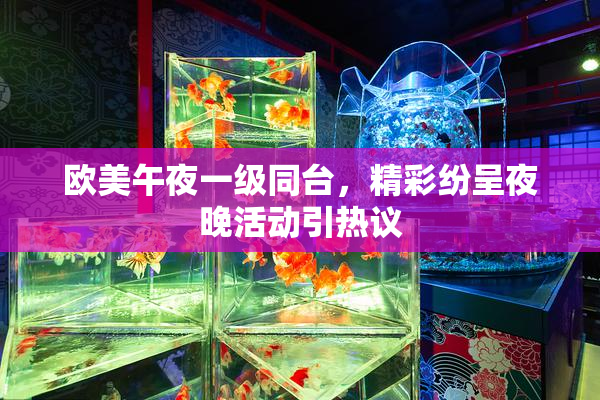 欧美午夜一级同台，精彩纷呈夜晚活动引热议