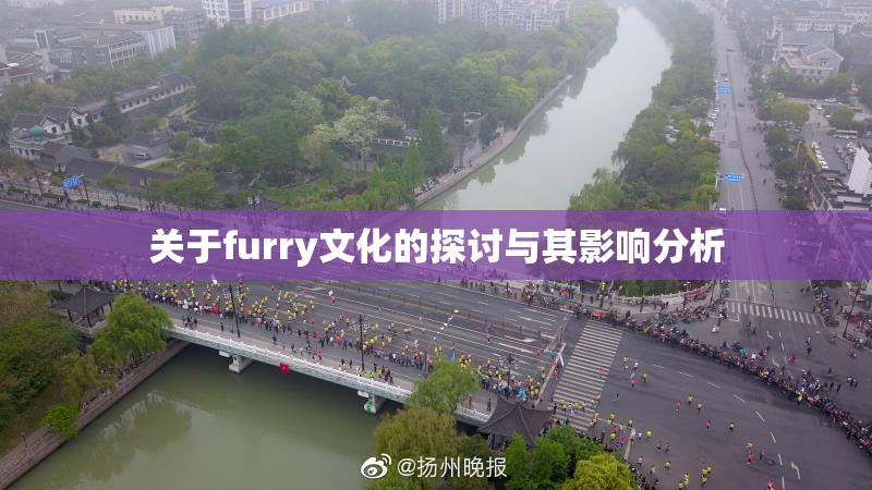 关于furry文化的探讨与其影响分析