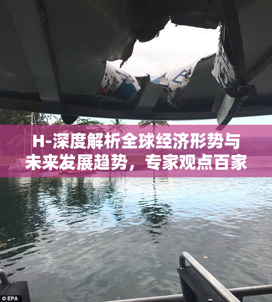 H-深度解析全球经济形势与未来发展趋势，专家观点百家争鸣