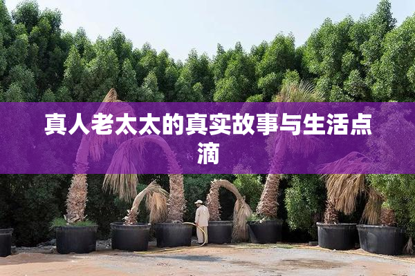 真人老太太的真实故事与生活点滴