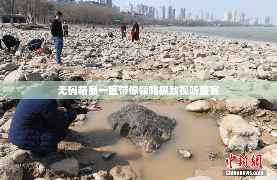 无码精品一区带你领略极致视听盛宴