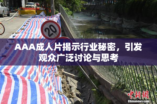 AAA成人片揭示行业秘密，引发观众广泛讨论与思考