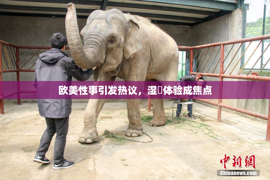 欧美性事引发热议，湿潤体验成焦点