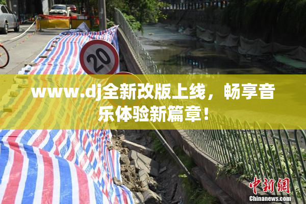 www.dj全新改版上线，畅享音乐体验新篇章！