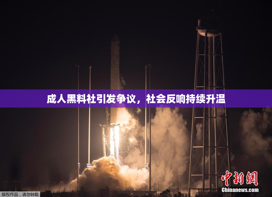 成人黑料社引发争议，社会反响持续升温
