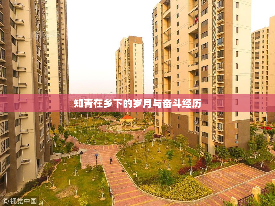知青在乡下的岁月与奋斗经历