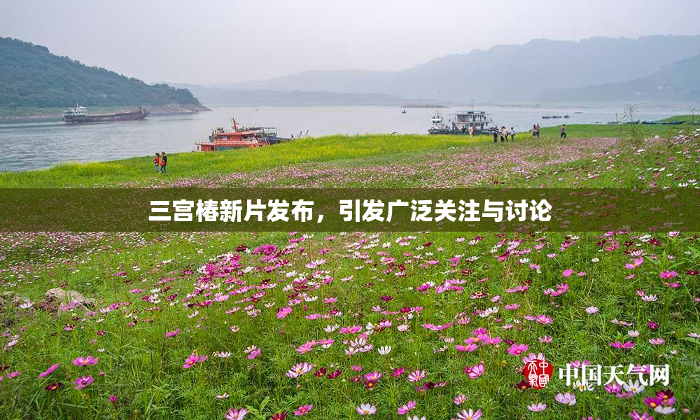 三宫椿新片发布，引发广泛关注与讨论