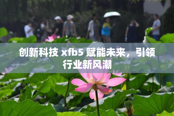 创新科技 xfb5 赋能未来，引领行业新风潮