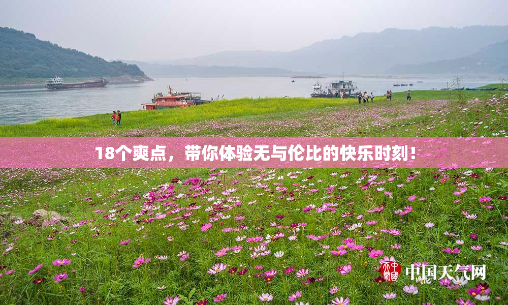 18个爽点，带你体验无与伦比的快乐时刻！