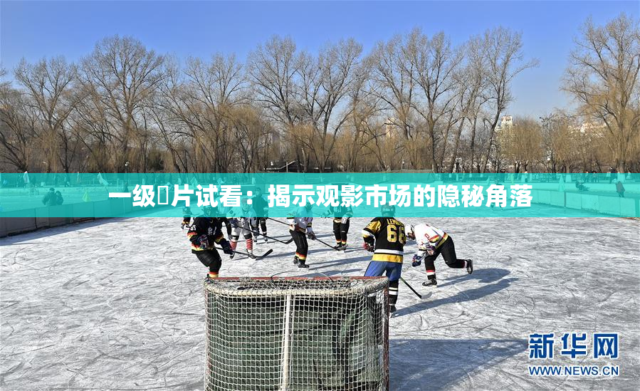 一级婬片试看：揭示观影市场的隐秘角落