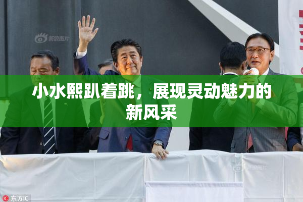 小水熙趴着跳，展现灵动魅力的新风采