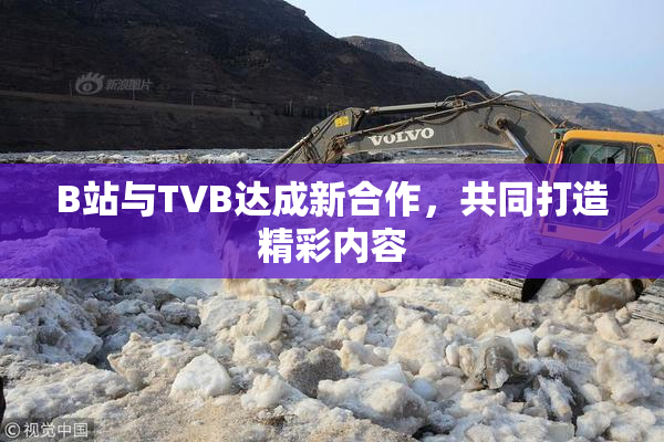 B站与TVB达成新合作，共同打造精彩内容