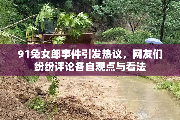 91兔女郎事件引发热议，网友们纷纷评论各自观点与看法