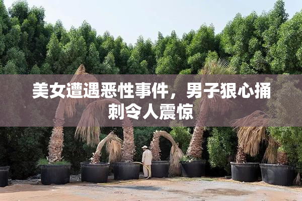 美女遭遇恶性事件，男子狠心捅刺令人震惊