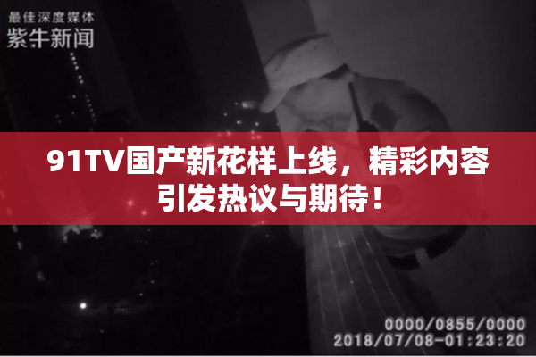 91TV国产新花样上线，精彩内容引发热议与期待！