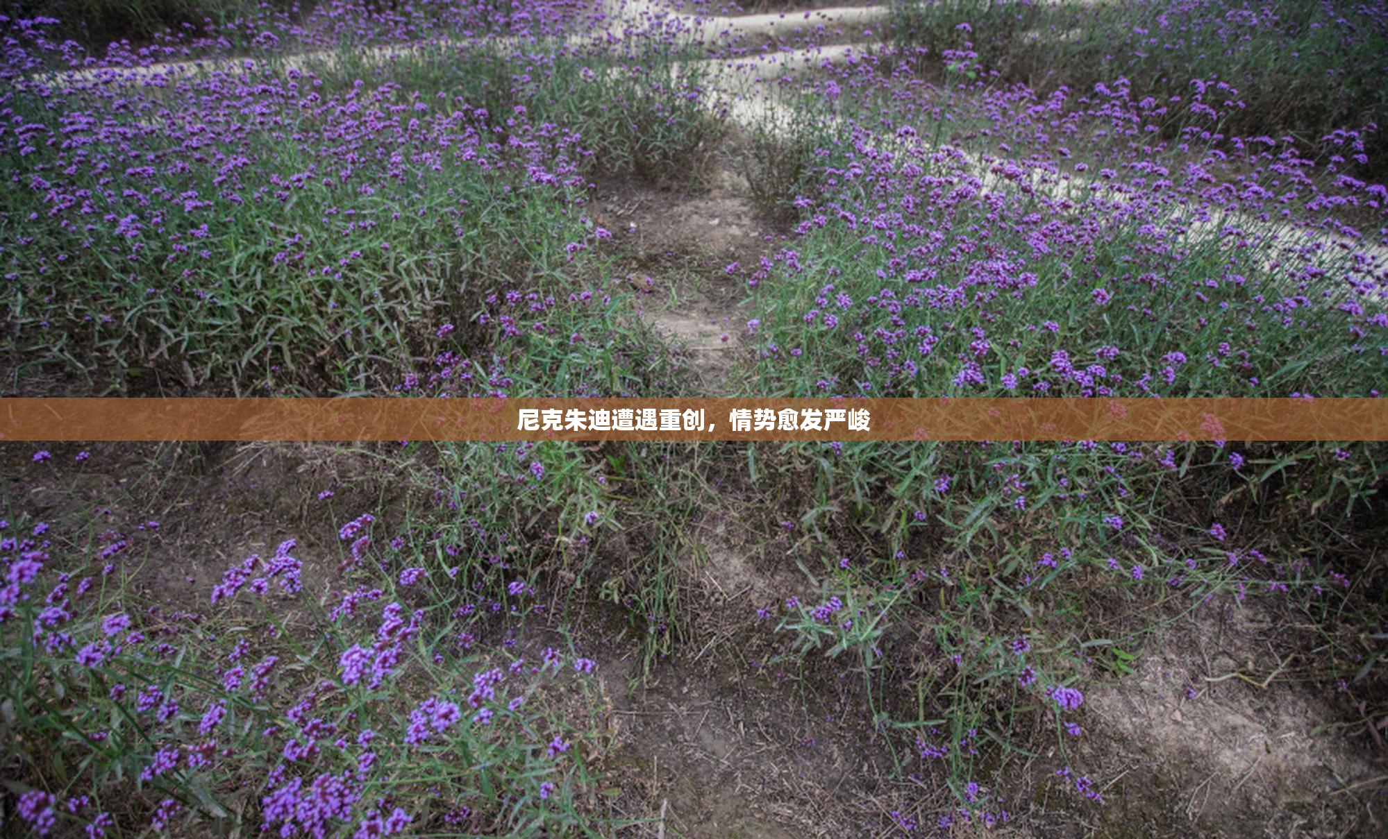 尼克朱迪遭遇重创，情势愈发严峻