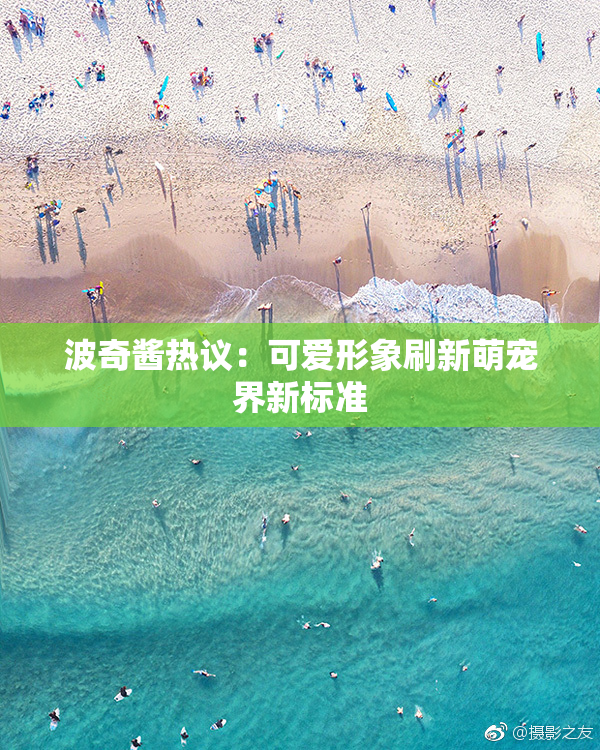 波奇酱热议：可爱形象刷新萌宠界新标准