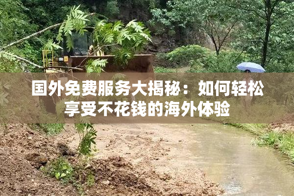 国外免费服务大揭秘：如何轻松享受不花钱的海外体验