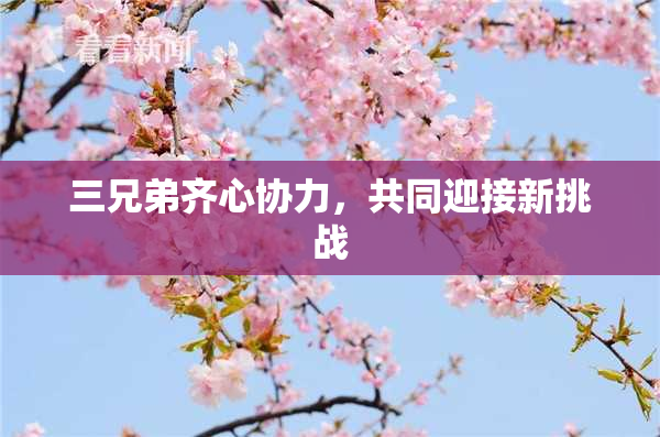 三兄弟齐心协力，共同迎接新挑战