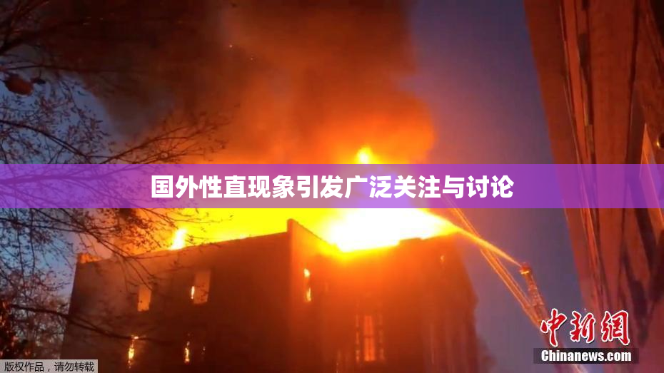 国外性直现象引发广泛关注与讨论