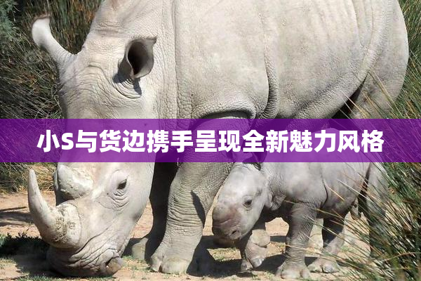 小S与货边携手呈现全新魅力风格