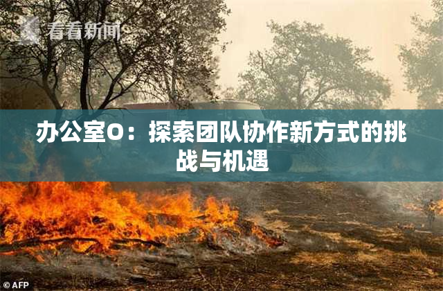 办公室O：探索团队协作新方式的挑战与机遇