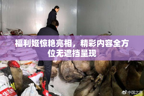 福利姬惊艳亮相，精彩内容全方位无遮挡呈现