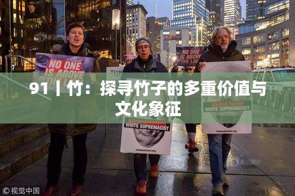 91丨竹：探寻竹子的多重价值与文化象征