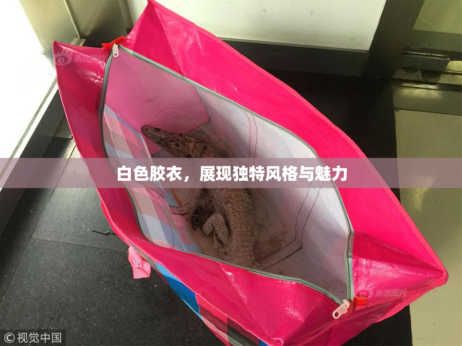 白色胶衣，展现独特风格与魅力