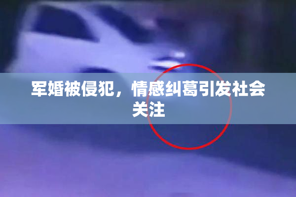 军婚被侵犯，情感纠葛引发社会关注