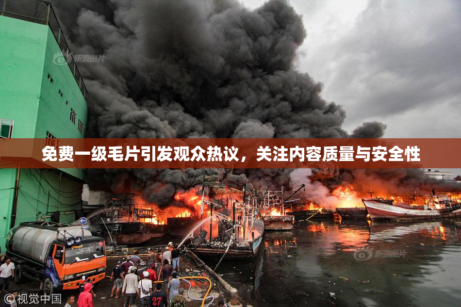 免费一级毛片引发观众热议，关注内容质量与安全性