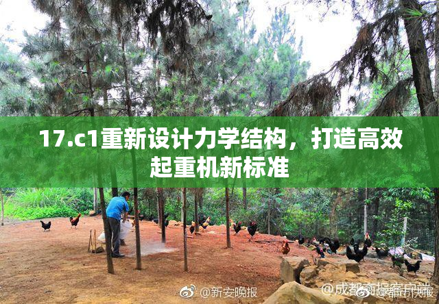 17.c1重新设计力学结构，打造高效起重机新标准