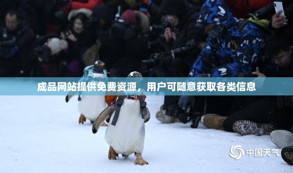 成品网站提供免费资源，用户可随意获取各类信息