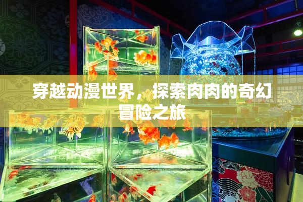 穿越动漫世界，探索肉肉的奇幻冒险之旅