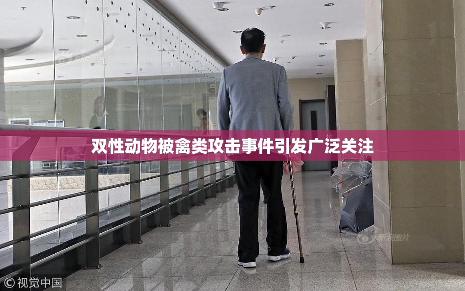 双性动物被禽类攻击事件引发广泛关注