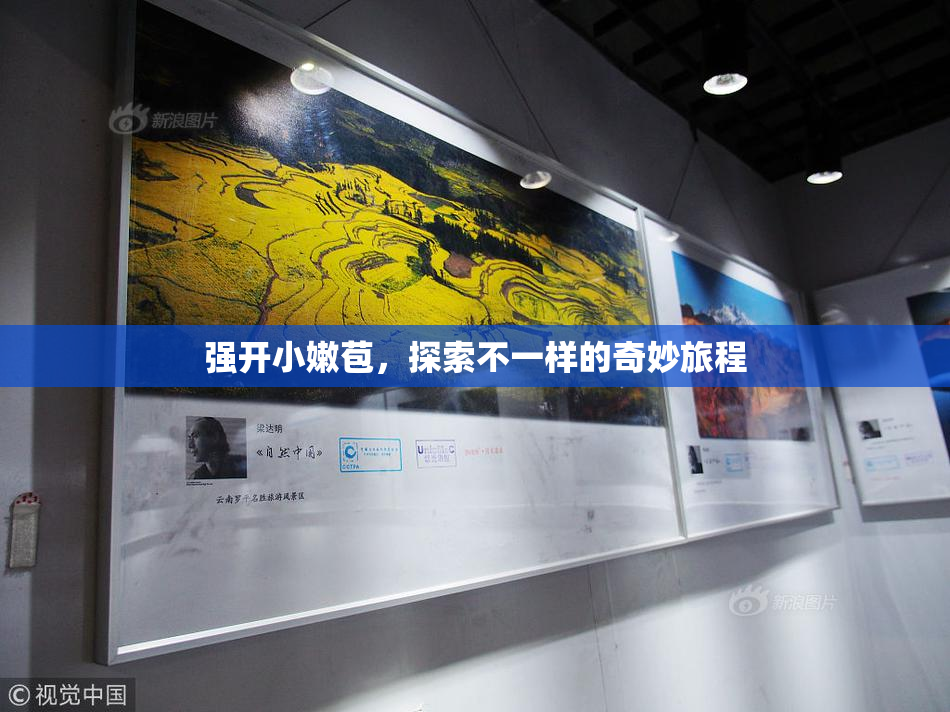 强开小嫩苞，探索不一样的奇妙旅程