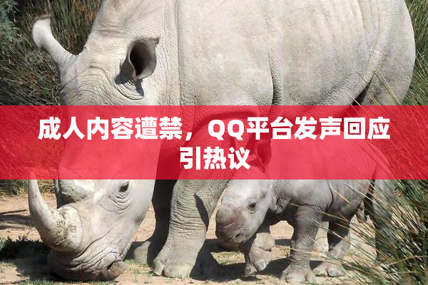 成人内容遭禁，QQ平台发声回应引热议